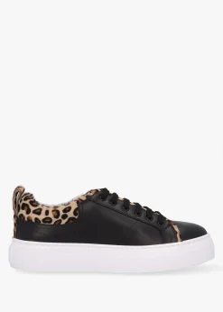 Discount DANIEL Panny Black Leather Leopard Trainers