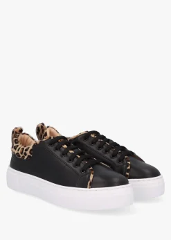Discount DANIEL Panny Black Leather Leopard Trainers