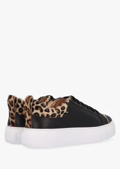 Discount DANIEL Panny Black Leather Leopard Trainers