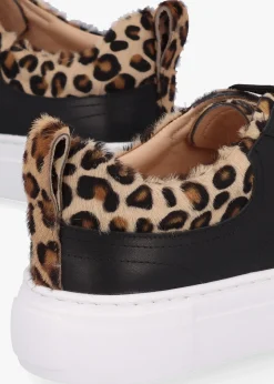 Discount DANIEL Panny Black Leather Leopard Trainers