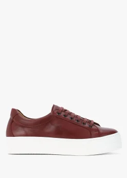 Outlet DANIEL Piccadilly Circus Burgundy Leather Flatform Trainers