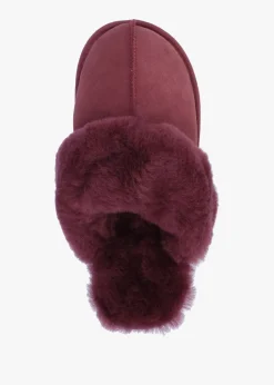 Sale DANIEL Shut Burgundy Sheepskin Twinface Slippers