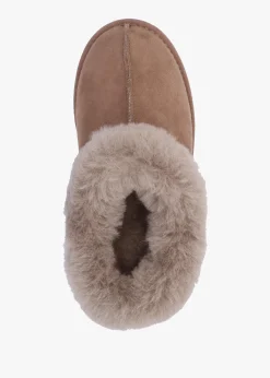 Fashion DANIEL Somolly Taupe Suede Shearling Slippers