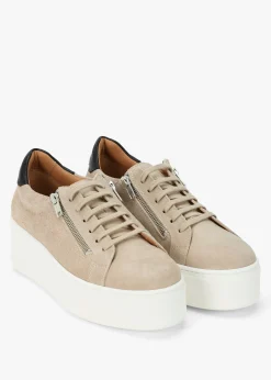Hot DANIEL Tippy Taupe Suede Flatform Trainers